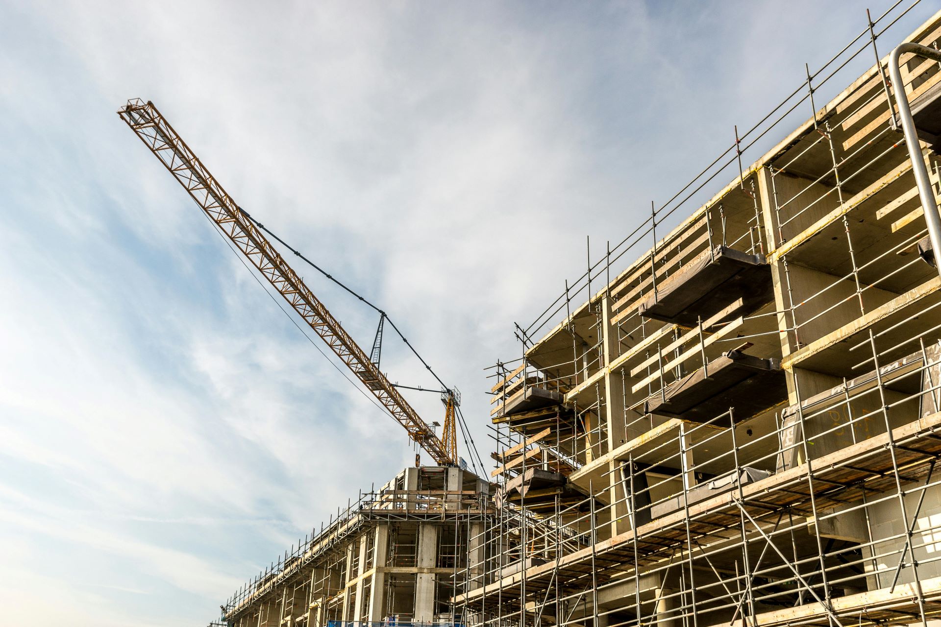 Daily Progress Reviews Build Better SA Projects